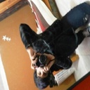 Bud Nash - @BudNash2 - Twitter