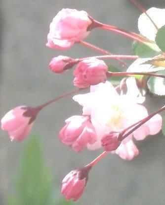 こんにちは。相互フォロー歓迎。セールスDMは送らないでね。楽しく繋がっていきましょう。  Hello,  Tokyo,Japan     2013.6