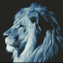 Brian Parrish - @hrhbdp - Twitter