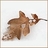 vepciel's profile image