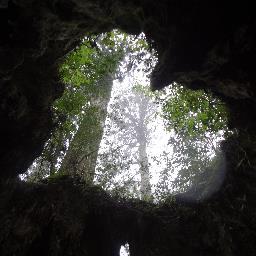 旅、探索、和のステンドグラス、レトロ建築、城、歴史、舞台鑑賞、本、ワイン、浅田真央。画像はリアルタイムのものではなくほぼ後日投稿。
