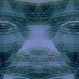 Revival Synth (@revival_synth) Twitter profile photo Revival Synth (@revival_synth) Twitter profile photo