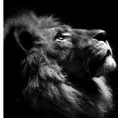 CoraJacobs8's profile picture. Twitter addict, wine lover, foodie