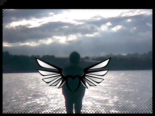 sansankey1's profile picture. 