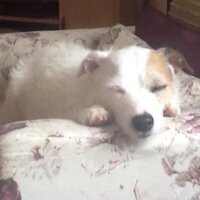 NicePenMate (@nicepenmate) 's Twitter Profile
