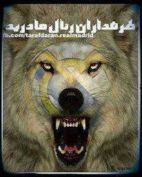 صفحه رسمی پیج طرفداران رئال مادرید در توئیتر