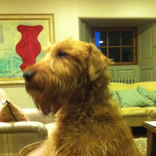 coke_tom's profile picture. Regenerative agri, conservation, tourism, heritage. conservative with a liberal outlook on life.  HATE waste, virtue signalling and to be honest Twitter.