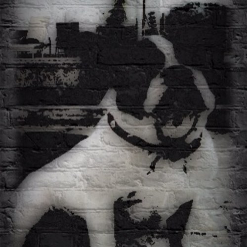 ginkas64's profile picture. 