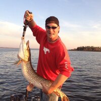 Chris (@chrisvhapp) 's Twitter Profile