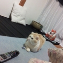 かわきー (@05Hug) Twitter