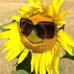 dremsal's profile picture. 😷🩺huni, KAHEV, AH,👩‍⚕️