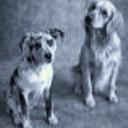 john Wrona - @johnWrona - Twitter