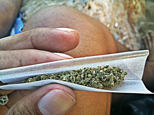 Amante de la buena Hierva/ Cualquier momento es bueno para hacerse un buen Porrito #420