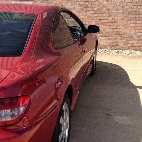 pringles1984's profile picture. all views are my own