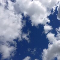 Rigid (@rigid151) 's Twitter Profile