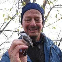 Passionate conservationist specializing in birds & education. Naturalist Director @NatureCanada. Multilingual-French, Spanish, Portuguese, Bird.