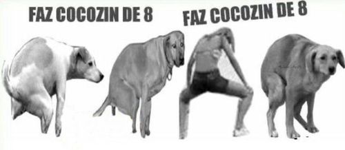 sou o menino que da o cu
o famoso bixo piruleta