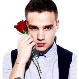 Harry styles , Liam Payne ,  , Niall Horan , Louis Tomlinson y Zayn Malik