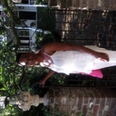 Jacqueline Goodwin - @lenisegoodwin - Twitter