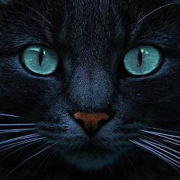 SoniaCHulia's profile picture. 