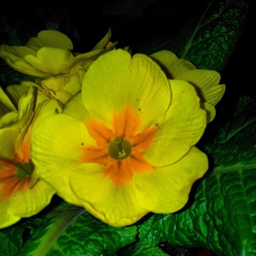 CarinCarlando's profile picture. Gift med en underbar man och har en söt liten dotter som börjar bli stor nu..suck=)Jag har ett underbart jobb och tänker fortsätta där..nu köör vi