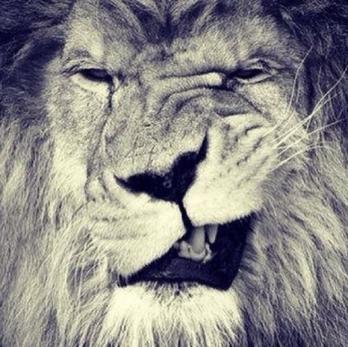 KrisMikell's profile picture. I am.