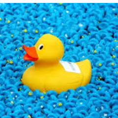 40,000 little rubber ducks will race on 20th Sept 2014 at Pier Head, Liverpool in aid of @ClaireHouse. You'd be quackers to miss it!