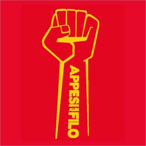 Gli Appesi Aun Filo nascono nel '93. Inizialmente il gruppo prende il nome di C.S.O.A, Collettivo Suonatori Occupanti Asilo, proprio perchè i componenti della