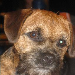 herbie99088249's profile picture. 