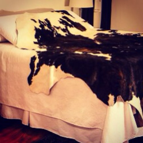 decohides's profile picture. #1 Registered Cowhide Brand. Visit our Online Store for more products. Distributors are welcome.