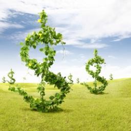 Dinheiro_webnet's profile picture. 