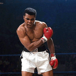 Muhammad Ali nació en Louisville, Kentucky. Cuando tenía 12 años, le robaron su bicicleta, y ahí comenzó la leyenda.