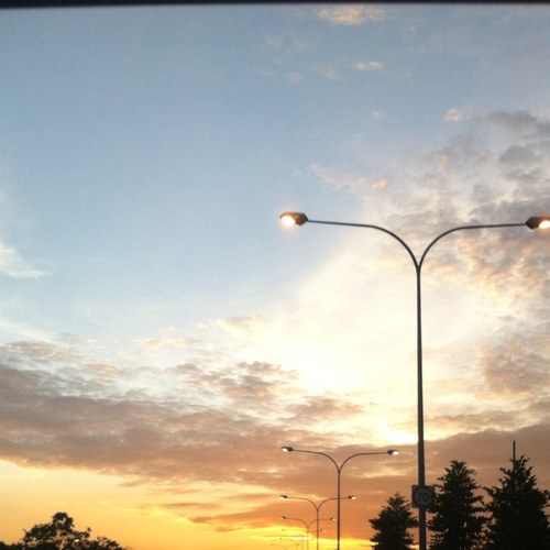 davy_loo's profile picture. 