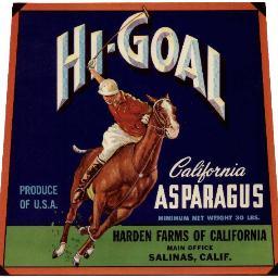 PoloArt1's profile picture. Original Polo Art, exclusive & unusual Gifts and Collectables all inspired by our favourite sport