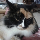 《Sandy!467》 - @SandraLidiaMira - Twitter