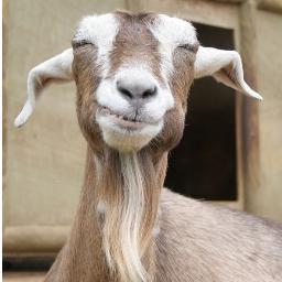 jbpassig's profile picture. 