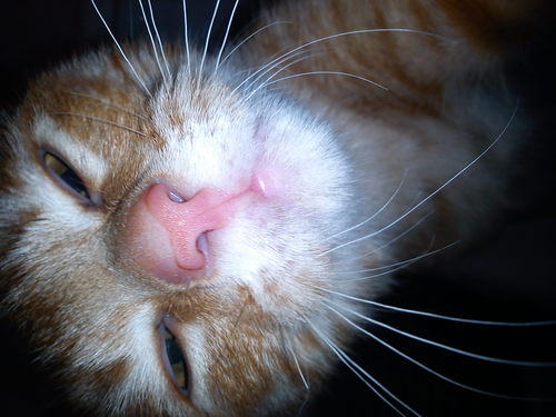 rbotijos's profile picture. nací un día, q me parió mi madre y hasta hoy.....