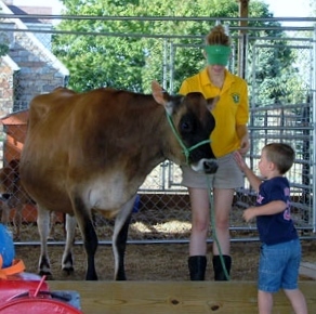 Milking cows, growing corn, soybeans, sorghum & more, making ice cream and welcoming visitors here to our family's farm!