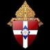 Diocese of Winona-Rochester (@WinonaRochester) Twitter profile photo