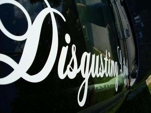 DisgustingLS's profile picture. Be yourself.