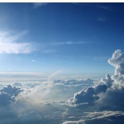 wireless_esi's profile picture. 