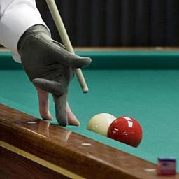 carompool's profile picture. 