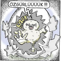 yirtikdondan1's profile picture. yalancının ...