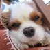 janet (@sadsam152) Twitter profile photo