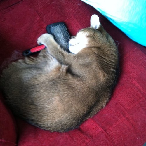 mcwill20's profile picture. 