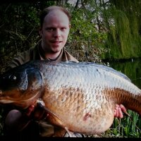 Neil odell (@noddy2907) 's Twitter Profile