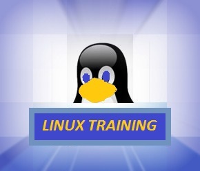 We at American Computer Consultancy Services provide quality and affordable Linux training. Discounts are available to financially deserving candidates!