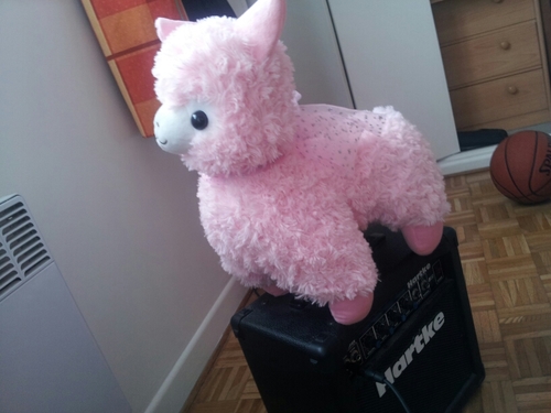 RimTheRabbit's profile picture. Ayy lmao