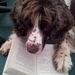 The book based twitter of @Jenjen_23. Nic might chip in from time to time, expect reviews and all things bookish :)