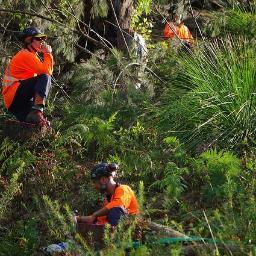 All Seasons Tree Service is locally owned & operated tree service company.